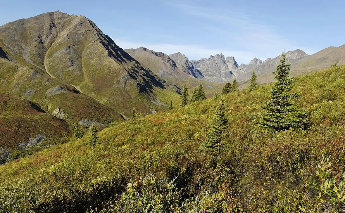 Юкон, Канада (Egmont Strigl / imagebroker.com / Global Look Press)