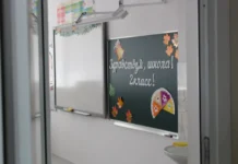 В школах Владивостока запустят ресурсные классы для детей с РАС в новом учебном году! v shkolah vladivostoka zapustyat resursnye klassy dlya detej s ras v novom uchebnom godu-stanural-ru-0