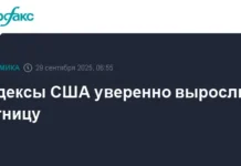 Американские индексы S&P 500 и Nasdaq Composite демонстрируют рост с позитивными прогнозами amerikanskie indeksy 500 i demonstriruyut rost s pozitivnymi prognozami-stanural-ru-0