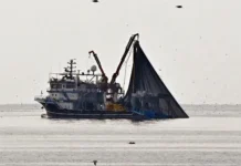 АРПП и ВАРПЭ предлагают решение для рыболовных судов с оптимистичными перспективами arpp i varpe predlagayut reshenie dlya rybolovnyh sudov s optimistichnymi perspektivami-stanural-ru-0