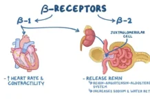 betablokatory posle infarkta otkryvayut novye vozmozhnosti dlya lecheniya-stanural-ru-0