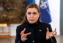 Довиле Шакалене оценила роль НАТО и F-35 в охране неба Эстонии dovile shakalene oczenila rol nato i 35 v ohrane neba estonii-stanural-ru-0