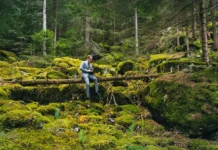 erik kejn i melani rua utverzhdayut chto strategii sposobstvuyut rostu investiczij-stanural-ru-0