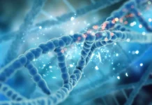 Институт искусственного интеллекта МГУ и Содбо Шарапов изучают генетику заболеваний сердца institut iskusstvennogo intellekta mgu i sodbo sharapov izuchayut genetiku zabolevanij serdcza-stanural-ru-0