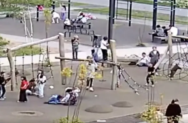 Женщина побила 7-летнего ребенка на детской площадке | Источник: bobrovo_today / Восточное Бутово️ / T.me