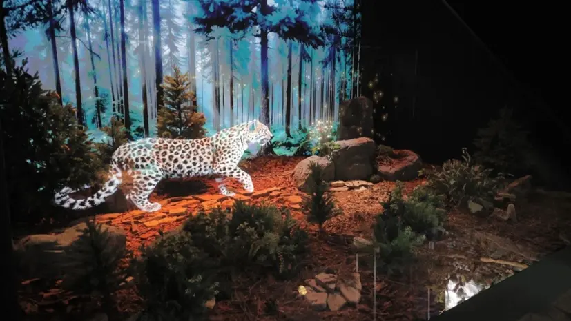 Виртуальный тур по выставке «Путешествие по России» стал доступен онлайн