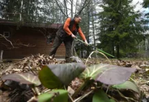 Никита Чаплин делится советами по уходу за садом осенью вместе с Союзом дачников Подмосковья nikita chaplin delitsya sovetami po uhodu za sadom osenyu vmeste s soyuzom dachnikov podmoskovya-stanural-ru-0