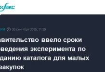 Правительство запускает эксперимент с Единым каталогом для малых закупок по 44-ФЗ pravitelstvo zapuskaet eksperiment s edinym katalogom dlya malyh zakupok po 44fz-stanural-ru-0