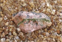 Устойчивые бактерии Chroococcidiopsis открывают путь к колонизации Марса и Луны ustojchivye bakterii otkryvayut put k kolonizaczii marsa i luny-stanural-ru-0