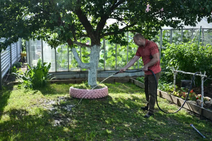 Ваш сад готов к зиме? 6 важных шагов осенней подготовки-0