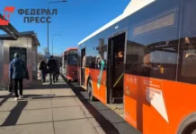 Андрей Никитин и Артем Здунов обсудили развитие дорог и транспорта Мордовии andrej nikitin i artem zdunov obsudili razvitie dorog i transporta mordovii-stanural-ru-0