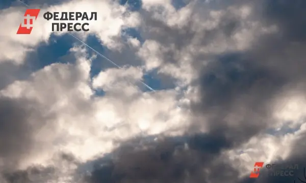 Асператусы и атмосферные фронты в Клепиковском районе обещают перемены для Рязанской области-0