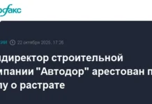 Басманный суд Москвы арестовал Рамиля Шайдуллина, гендиректора СК "Автодор" basmannyj sud moskvy arestoval ramilya shajdullina gendirektora sk avtodor-stanural-ru-0
