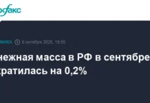 Динамика денежной массы, наличных денег и депозитов по данным ЦБ РФ dinamika denezhnoj massy nalichnyh deneg i depozitov po dannym czb rf-stanural-ru-0