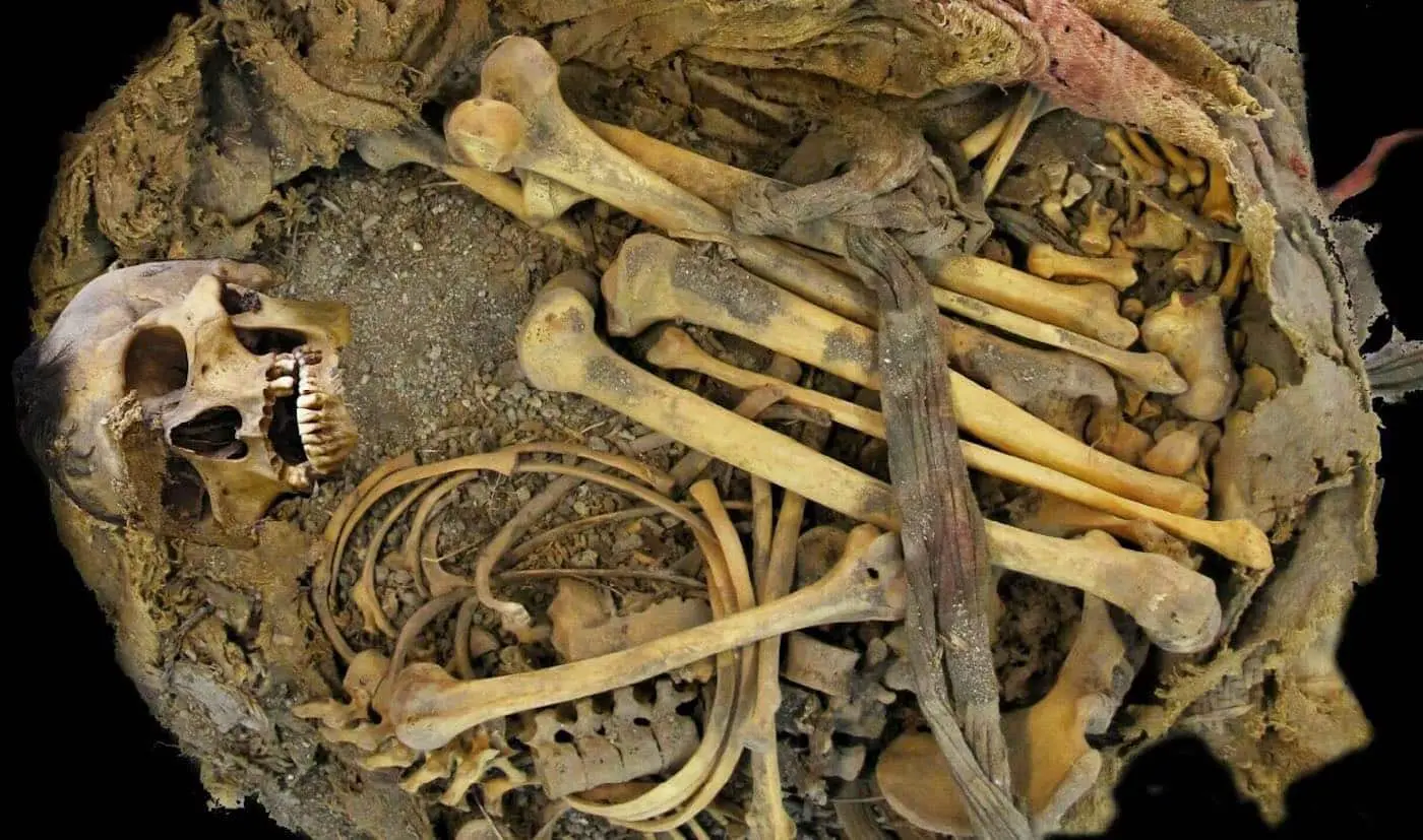 Древний микробиом Мексики раскрывает диету предков через Romboutsia hominis-0