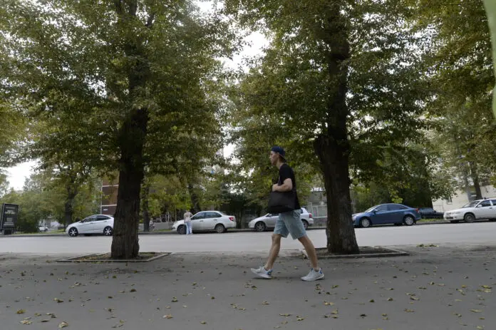 Глава Владислав Пинаев опубликовал сенсационные цифры озеленения Нижнего Тагила-0