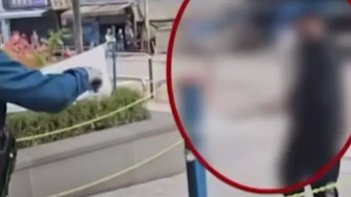 Shot: Пьяный россиянин с тесаком напал на полицейских в Южной Корее