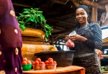 Исследователи объяснили, как добыча золота влияет на урожай в Африке issledovateli obyasnili kak dobycha zolota vliyaet na urozhaj v afrike-stanural-ru-0