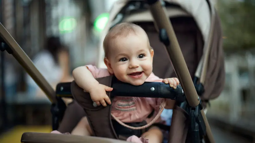 В России могут разрешить покупать коляски и автокресла на средства маткапитала
