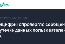 Минцифры гарантирует полную защиту данных пользователей Max и Госуслуг minczifry garantiruet polnuyu zashhitu dannyh polzovatelej i gosuslug-stanural-ru-0