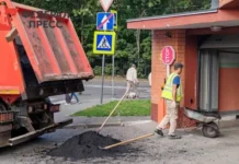 Минфин Нижегородской области сообщает о вкладе трудовых мигрантов в экономику minfin nizhegorodskoj oblasti soobshhaet o vklade trudovyh migrantov v ekonomiku-stanural-ru-0