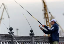 minselhoz rf prodlil zapret na lovlyu vobly na volge i kaspii do 2027 goda-stanural-ru-0