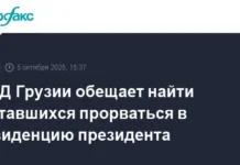 МВД Грузии обеспечит порядок у резиденции президента после местных выборов в Тбилиси mvd gruzii obespechit poryadok u rezidenczii prezidenta posle mestnyh vyborov v tbilisi-stanural-ru-0