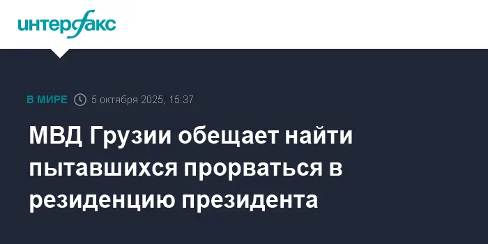 МВД Грузии обеспечит порядок у резиденции президента после местных выборов в Тбилиси-0