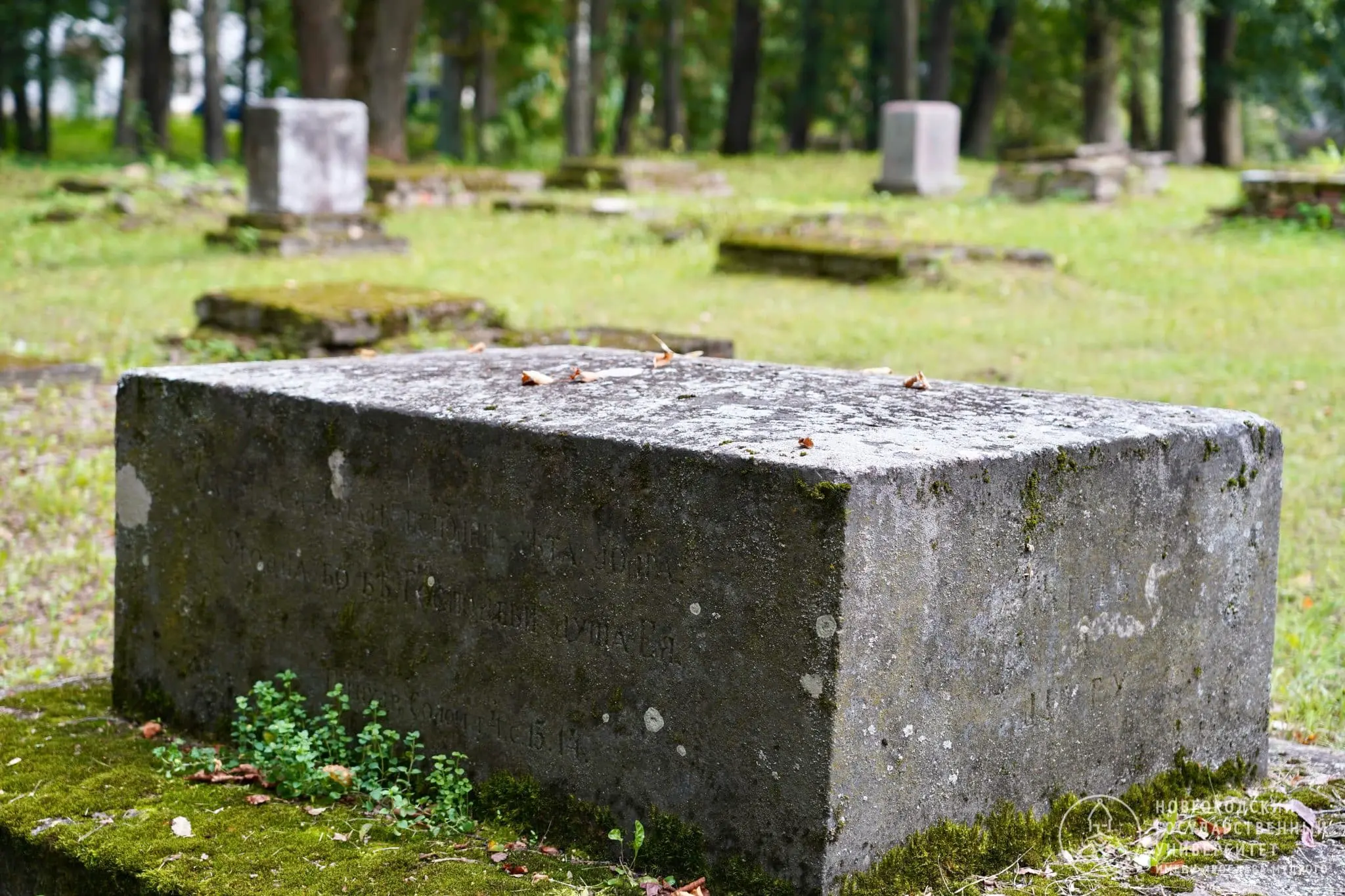 НовГУ с Сергеем Тороповым исследует тайны Древней Руссы и Окуловского поозерья-0