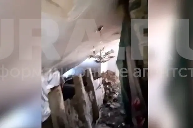 Вводная картинка