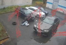 pod rukovodstvom bastrykina raskryto napadenie na zhenu ivana shevyreva-stanural-ru-0