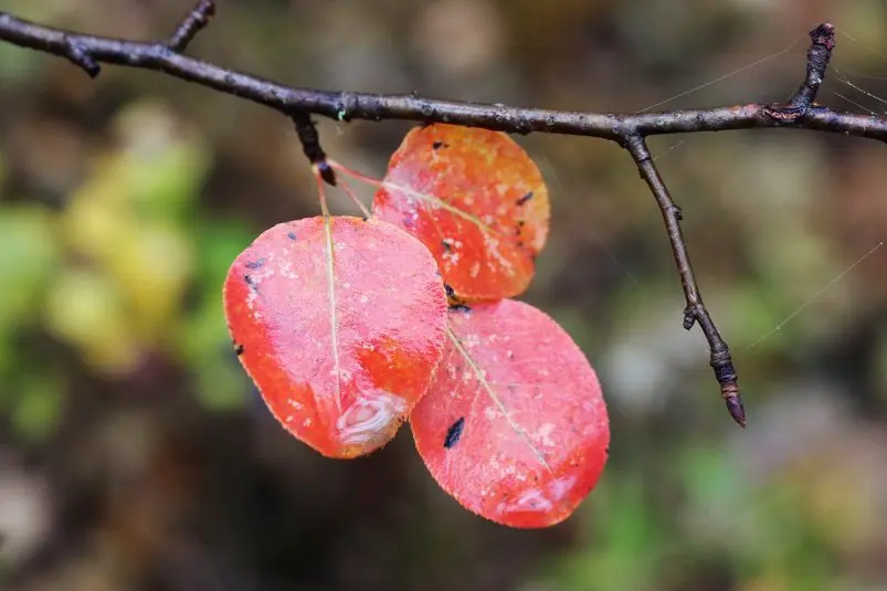 Фото: primamedia.ru