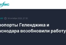 Путешественники могут радоваться, аэропорты Геленджика и Краснодара снова принимают рейсы puteshestvenniki mogut radovatsya aeroporty gelendzhika i krasnodara snova prinimayut rejsy-stanural-ru-0