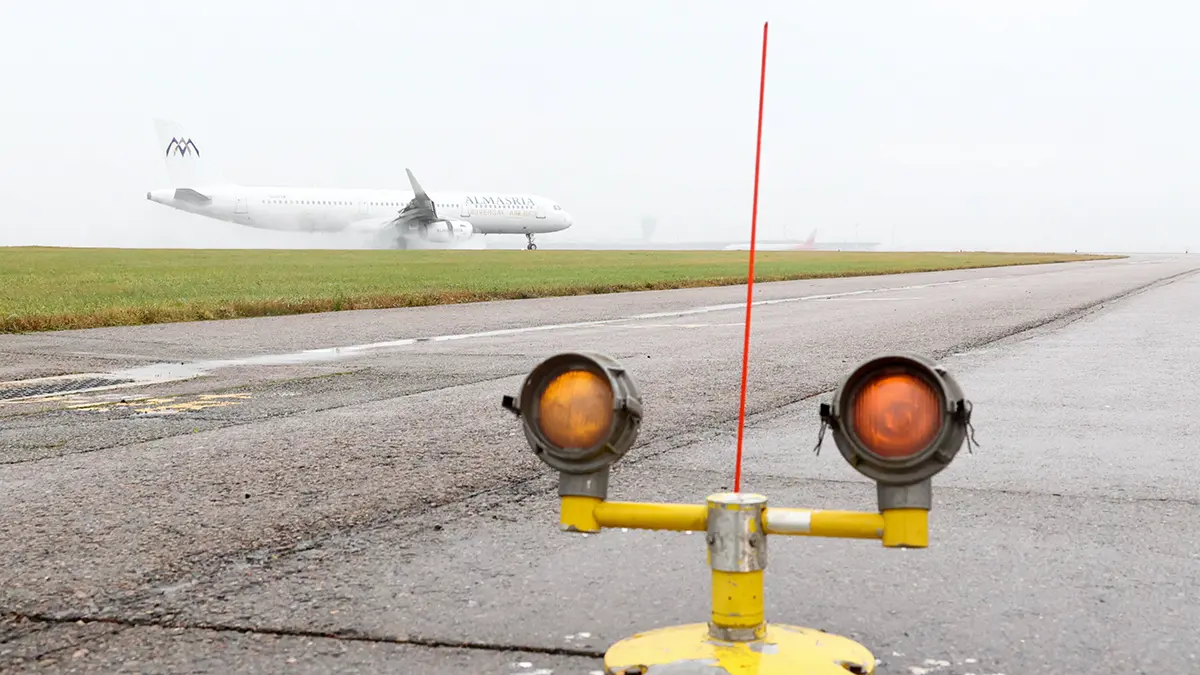 Shot: Рейс Владикавказ — Москва задержали более чем на сутки из-за птицы