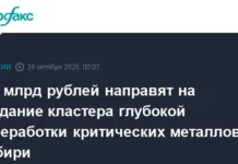 sergej shojgu rasskazal o revolyuczii kriticheskih metallov v sibiri-stanural-ru-0