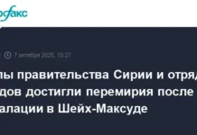 Силы правительства Сирии и курдские отряды достигли перемирия в Алеппо и Шейх-Максуде sily pravitelstva sirii i kurdskie otryady dostigli peremiriya v aleppo i shejhmaksude-stanural-ru-0
