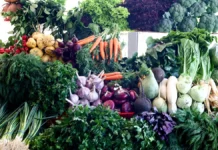 Тревога! Волонтеры Москвы доставляют урожай фермера Сергея из Липецкой области в зону СВО trevoga volontery moskvy dostavlyayut urozhaj fermera sergeya iz lipeczkoj oblasti v zonu svo-stanural-ru-0