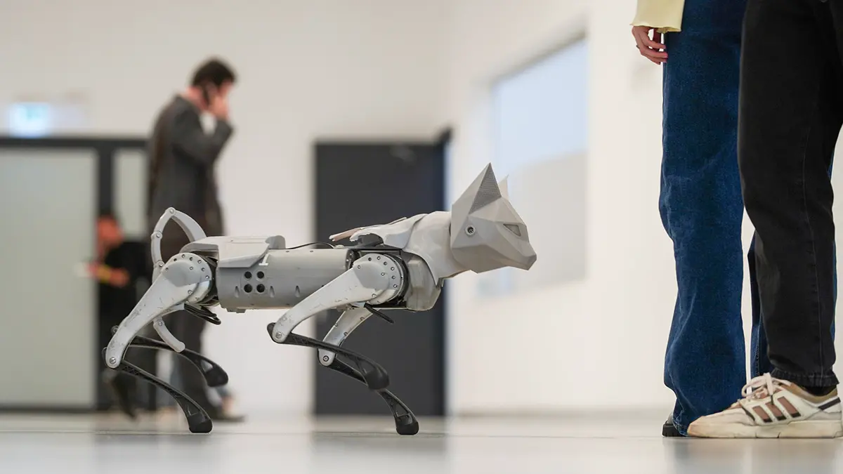 Отборочный этап Международного чемпионата по битве роботов состоится 1 ноября