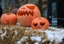 Вахтанг Кипшидзе заявил о Хеллоуине и богатстве отечественных традиций vahtang kipshidze zayavil o hellouine i bogatstve otechestvennyh tradiczij-stanural-ru-0