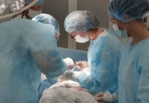 Врачи Владивостока и Дальзаводской больницы спасли женщину и малыша vrachi vladivostoka i dalzavodskoj bolniczy spasli zhenshhinu i malysha-stanural-ru-0