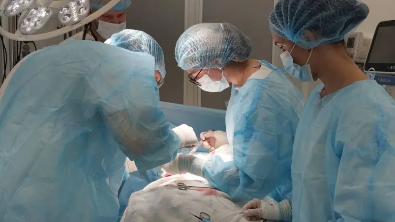 Во Владивостоке прооперировали беременную с аппендицитом пресс-служба Минздрава Приморья