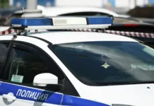 Задержание 19 участников драки подтвердило МВД через Ирину Волк zaderzhanie 19 uchastnikov draki podtverdilo mvd cherez irinu volk-stanural-ru-0