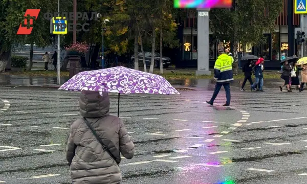 Центр ФОБОС и Гидрометцентр России представили прогноз погоды для Москвы и Урала-0