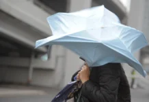 Фобос рассказал о ноябрьском шторме и улучшении погоды в столице fobos rasskazal o noyabrskom shtorme i uluchshenii pogody v stolicze-stanural-ru-0