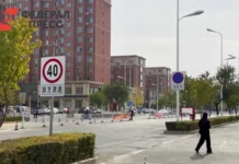 Ирина Юрина рассказала о росте спроса на поездки в Китай irina yurina rasskazala o roste sprosa na poezdki v kitaj-stanural-ru-0