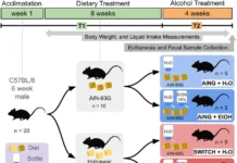 Исследование из Бразилии и Франции о микрофлоре кишечника и алкогольной зависимости issledovanie iz brazilii i franczii o mikroflore kishechnika i alkogolnoj zavisimosti-stanural-ru-0
