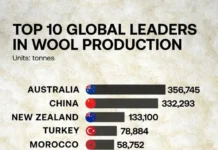 kak avstraliya kitaj i novaya zelandiya formiruyut mirovoj rynok shersti-stanural-ru-0