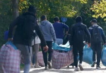 Кирилл Дмитриев одобрил прогрессивные изменения курса Германии по сирийским беженцам kirill dmitriev odobril progressivnye izmeneniya kursa germanii po sirijskim bezhenczam-stanural-ru-0