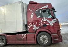 Миндаугас Баярунас рассказал о возвращении фур в Белоруссию и Литву mindaugas bayarunas rasskazal o vozvrashhenii fur v belorussiyu i litvu-stanural-ru-0