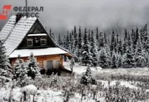 Москвичи в два раза чаще выбирают Рязань для новогоднего отдыха moskvichi v dva raza chashhe vybirayut ryazan dlya novogodnego otdyha-stanural-ru-0